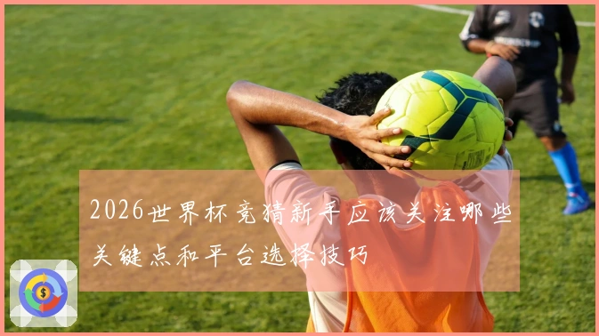 2026世界杯竞猜新手应该关注哪些关键点和平台选择技巧