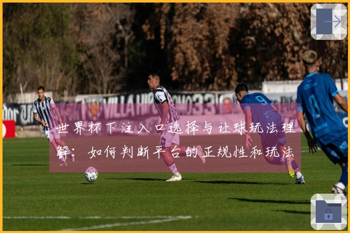 世界杯下注入口选择与让球玩法理解：如何判断平台的正规性和玩法规则的差异
